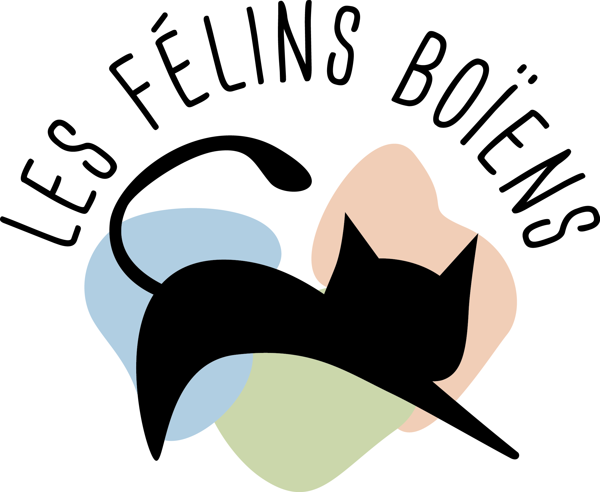 Logo Association Les Félins Boïens